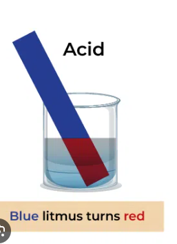 Kertas litmus biru akan bertukar merah sekiranya terkena dengan bahan yang bersifat acid
